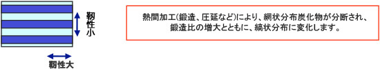 ファイバー組織概念図